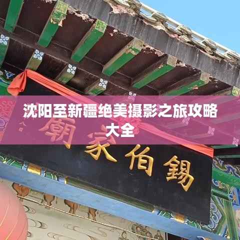 沈阳至新疆绝美摄影之旅攻略大全