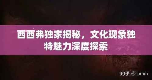 西西弗独家揭秘，文化现象独特魅力深度探索