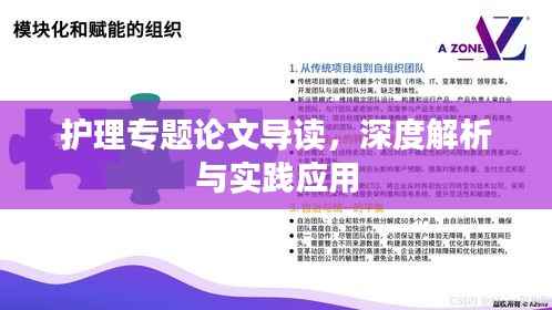 护理专题论文导读，深度解析与实践应用