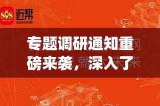 专题调研通知重磅来袭，深入了解、精准执行，共创辉煌！