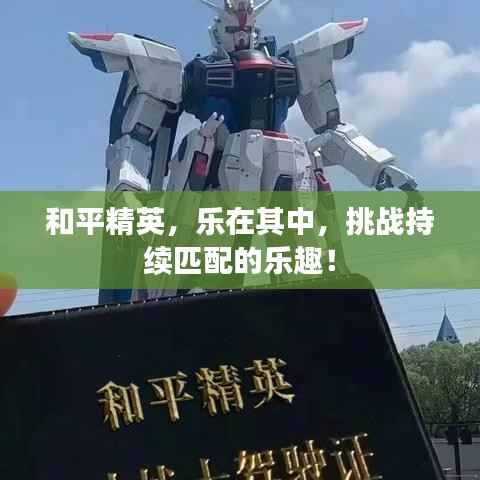 和平精英，乐在其中，挑战持续匹配的乐趣！