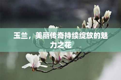 指李推张 第5页