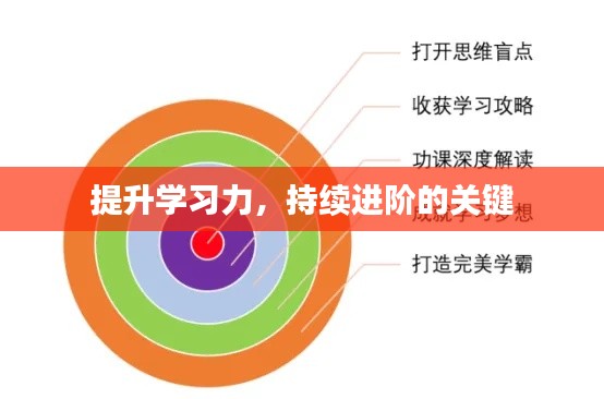 张灯挂彩 第4页