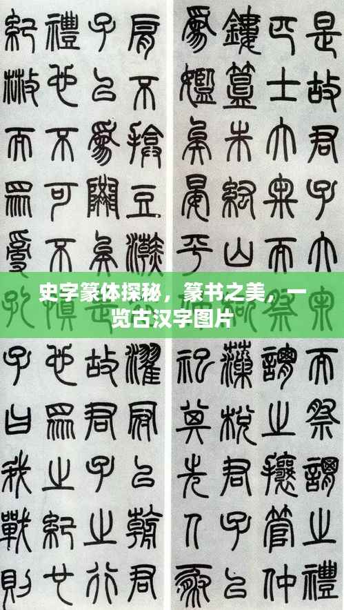史字篆体探秘，篆书之美，一览古汉字图片