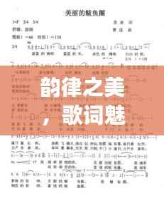 衣不曳地 第5页