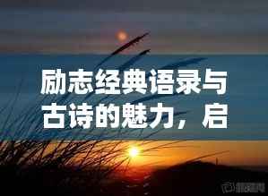 励志经典语录与古诗的魅力，启迪心灵的智慧光芒