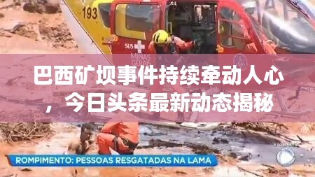 反正还淳 第4页