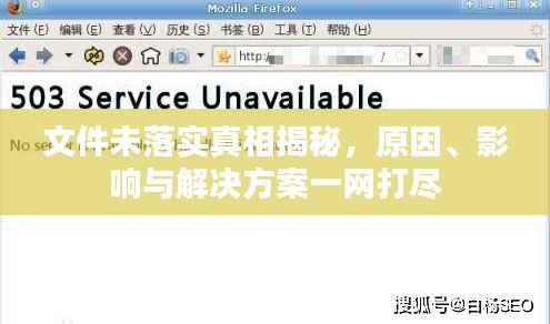 文件未落实真相揭秘，原因、影响与解决方案一网打尽