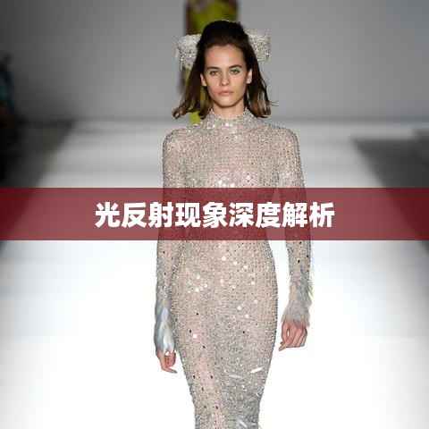 别出新意 第4页