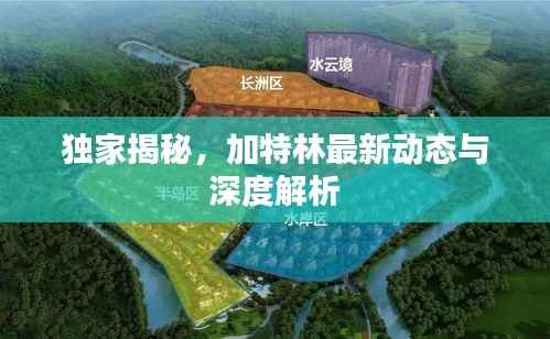 雍容典雅 第5页