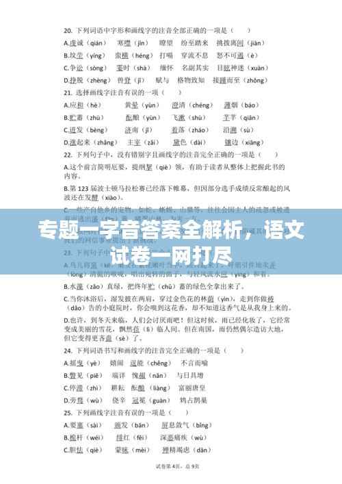 专题一字音答案全解析，语文试卷一网打尽