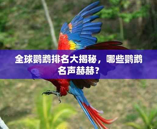 全球鹦鹉排名大揭秘，哪些鹦鹉名声赫赫？