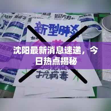 沈阳最新消息速递，今日热点揭秘