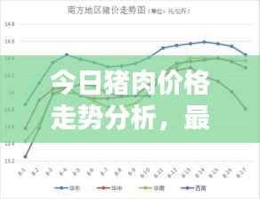 今日猪肉价格走势分析，最新市场报价及影响因素探讨