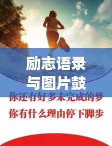 持之以恒 第4页