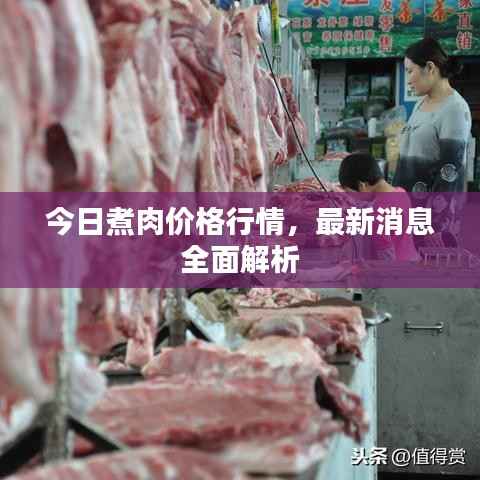 今日煮肉价格行情，最新消息全面解析