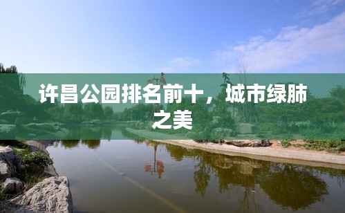 昙花一现 第5页