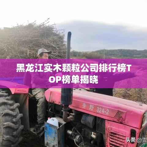 黑龙江实木颗粒公司排行榜TOP榜单揭晓