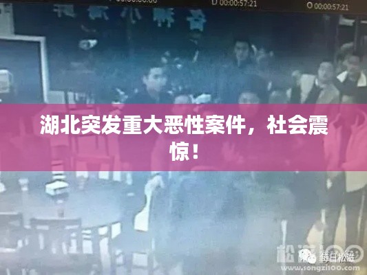 弃文就武 第4页