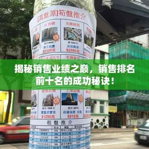 揭秘销售业绩之巅，销售排名前十名的成功秘诀！