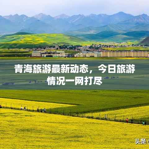 无独有偶 第3页