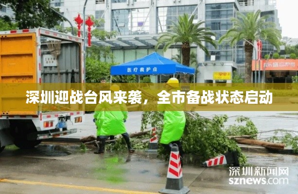 草草了事 第4页