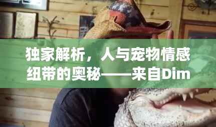 富贵荣华 第4页