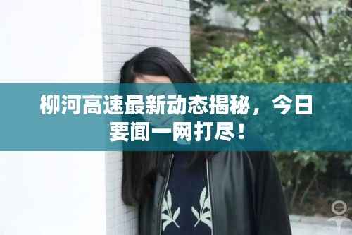 柳河高速最新动态揭秘，今日要闻一网打尽！