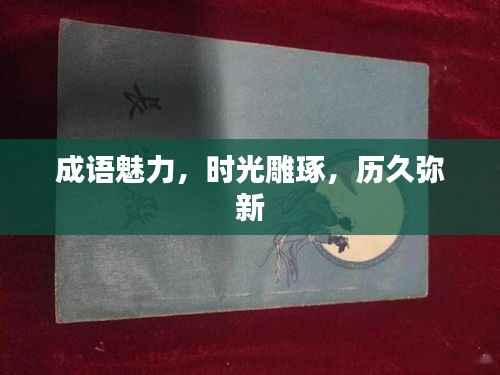 成语魅力，时光雕琢，历久弥新