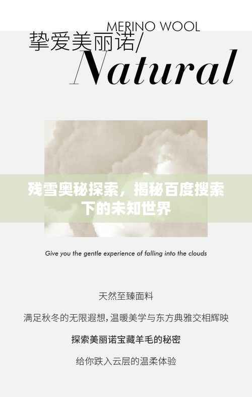 残雪奥秘探索，揭秘百度搜索下的未知世界