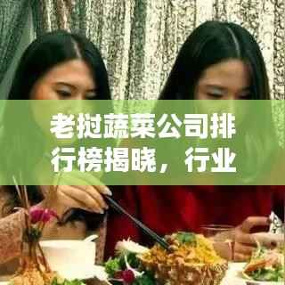 质而不俚 第4页