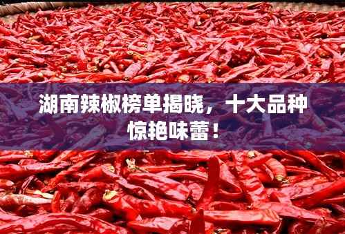 湖南辣椒榜单揭晓，十大品种惊艳味蕾！