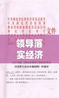 领导落实经济管理权的策略与关键实践之道