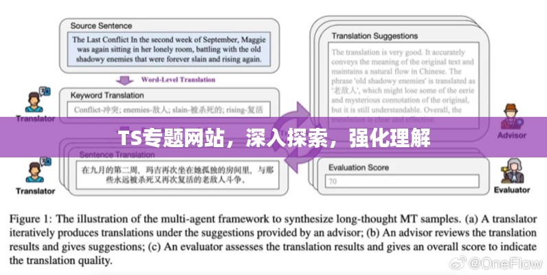 TS专题网站，深入探索，强化理解
