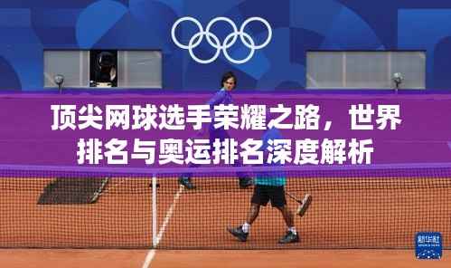 顶尖网球选手荣耀之路，世界排名与奥运排名深度解析
