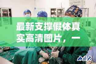 最新支撑假体真实高清图片，一窥现代医疗科技的惊人进步