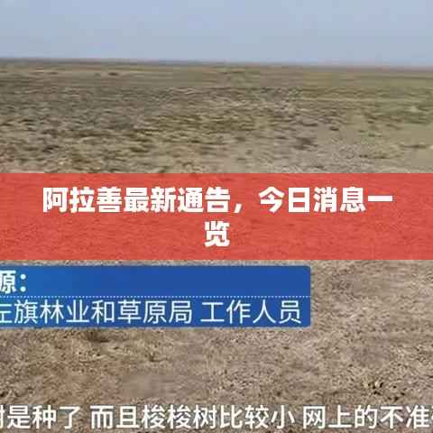 文质彬彬 第4页