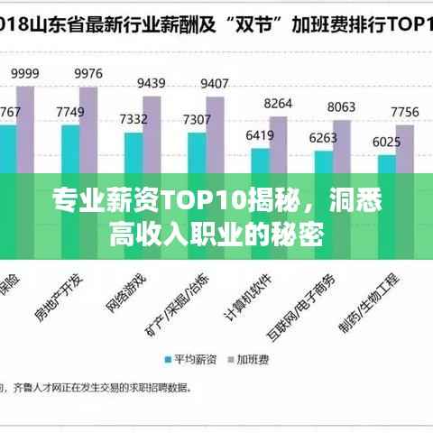 专业薪资TOP10揭秘，洞悉高收入职业的秘密
