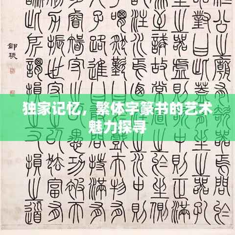 独家记忆，繁体字篆书的艺术魅力探寻