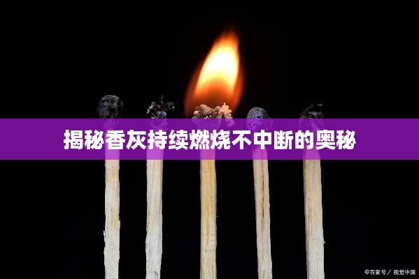 屈尊就卑 第4页