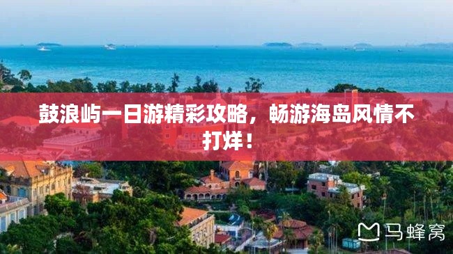 纲挈目张 第4页