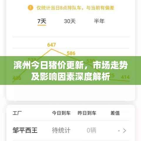 滨州今日猪价更新，市场走势及影响因素深度解析