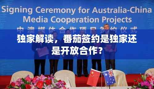 独家解读，番茄签约是独家还是开放合作？