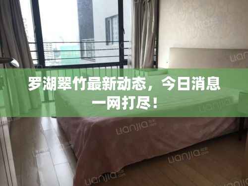 将错就错 第4页