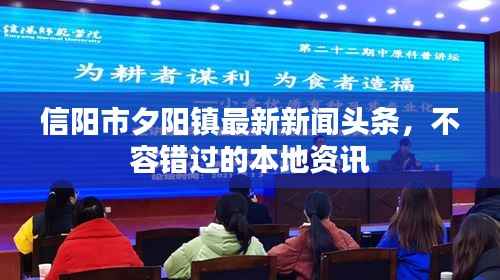 信阳市夕阳镇最新新闻头条，不容错过的本地资讯