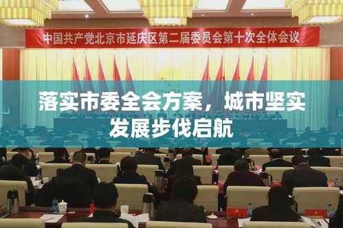 落实市委全会方案，城市坚实发展步伐启航