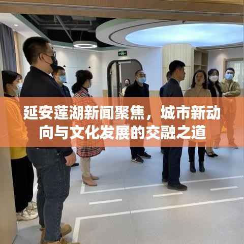 延安莲湖新闻聚焦，城市新动向与文化发展的交融之道