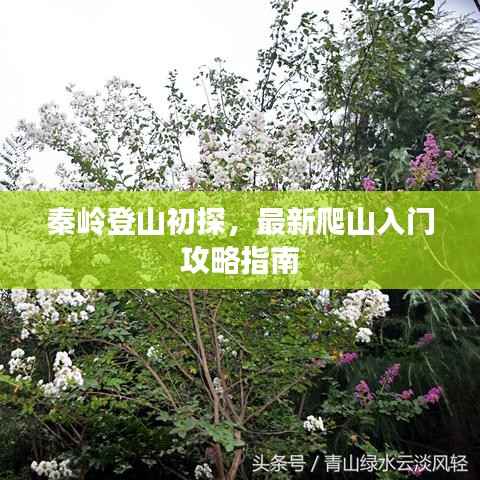 玉树临风 第4页