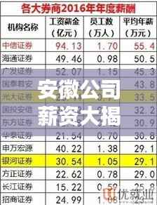 安徽公司薪资大揭秘，排名背后的真相！