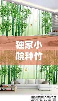 独家小院种竹宝典，打造绿意盎然的小天地